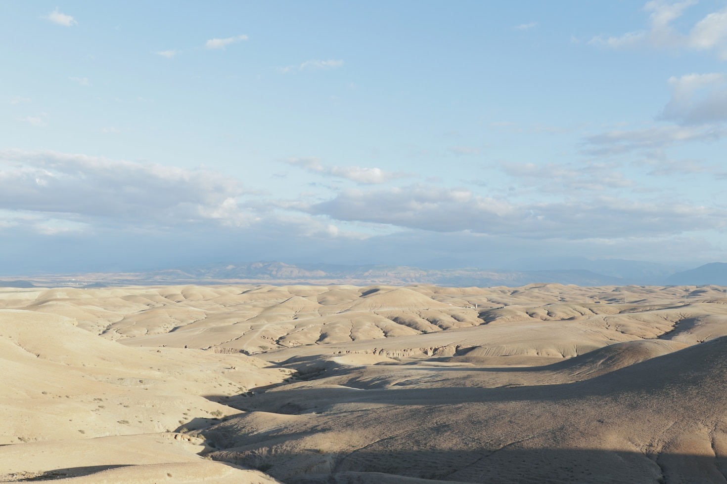 Why Camel Rides Are a Must-Try in Agafay